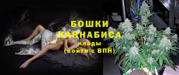 стаф Арсеньев